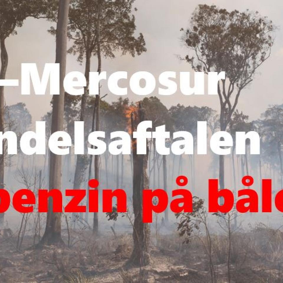 EU-Mercosur