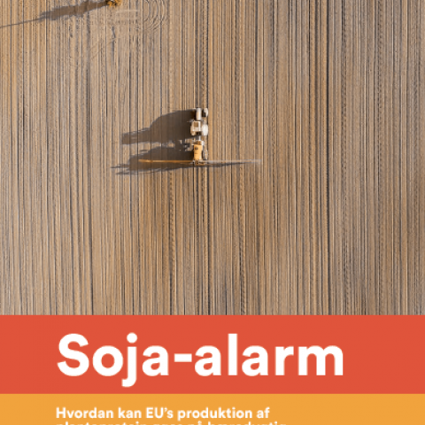 soja alaram, skovrydning, EU, planteprotein, animalsk overproduktion