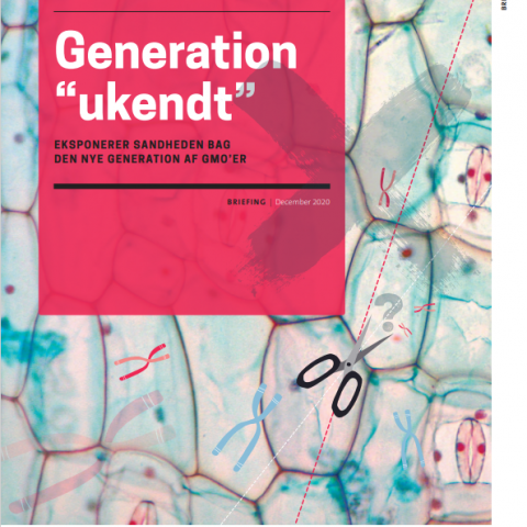 generation ukendt