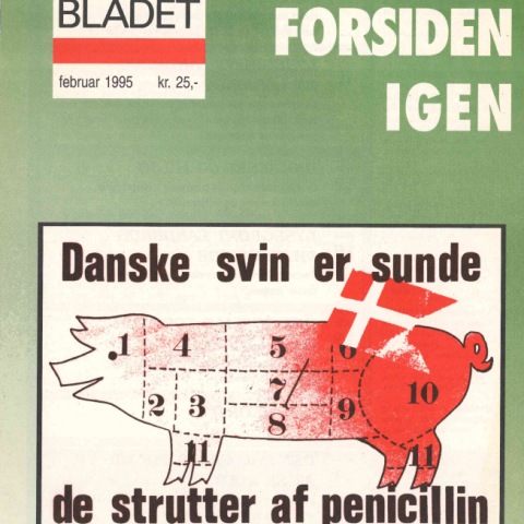 NOAH-bladet 151