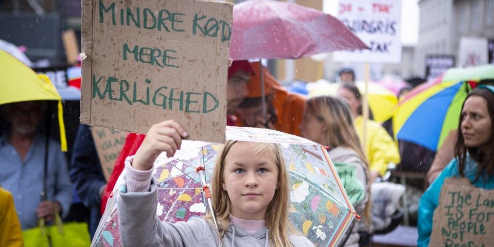 Foto fra demo imod industrisvin