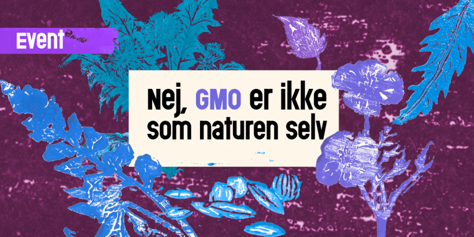 GMO