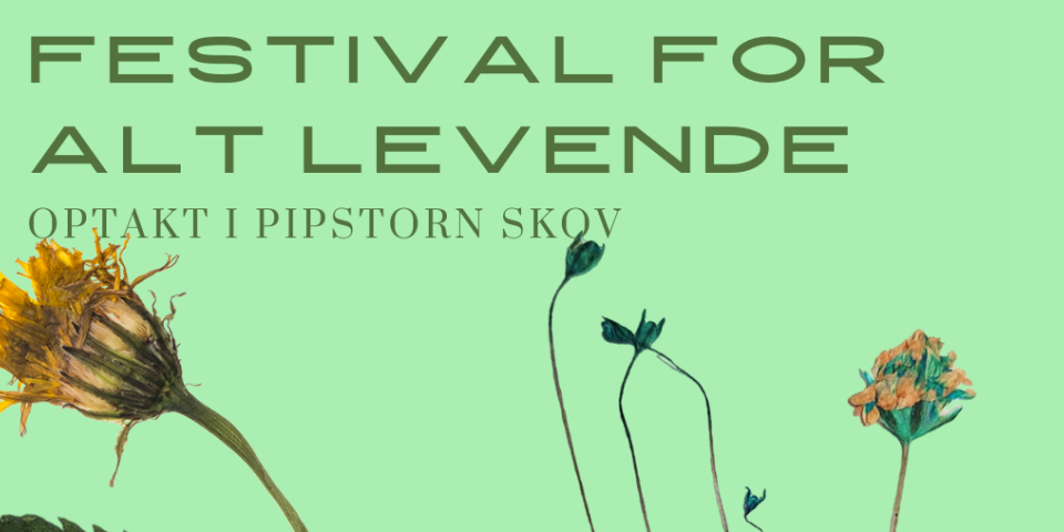 Layout: Stine Kähler Festival For Alt Levende